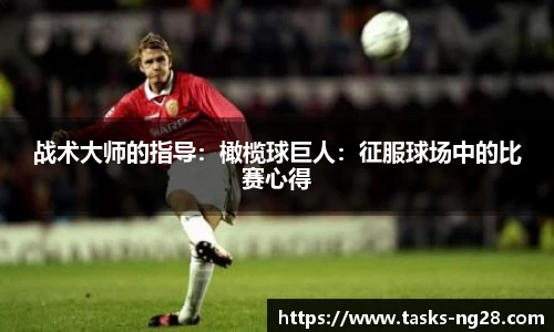 南宫28官网